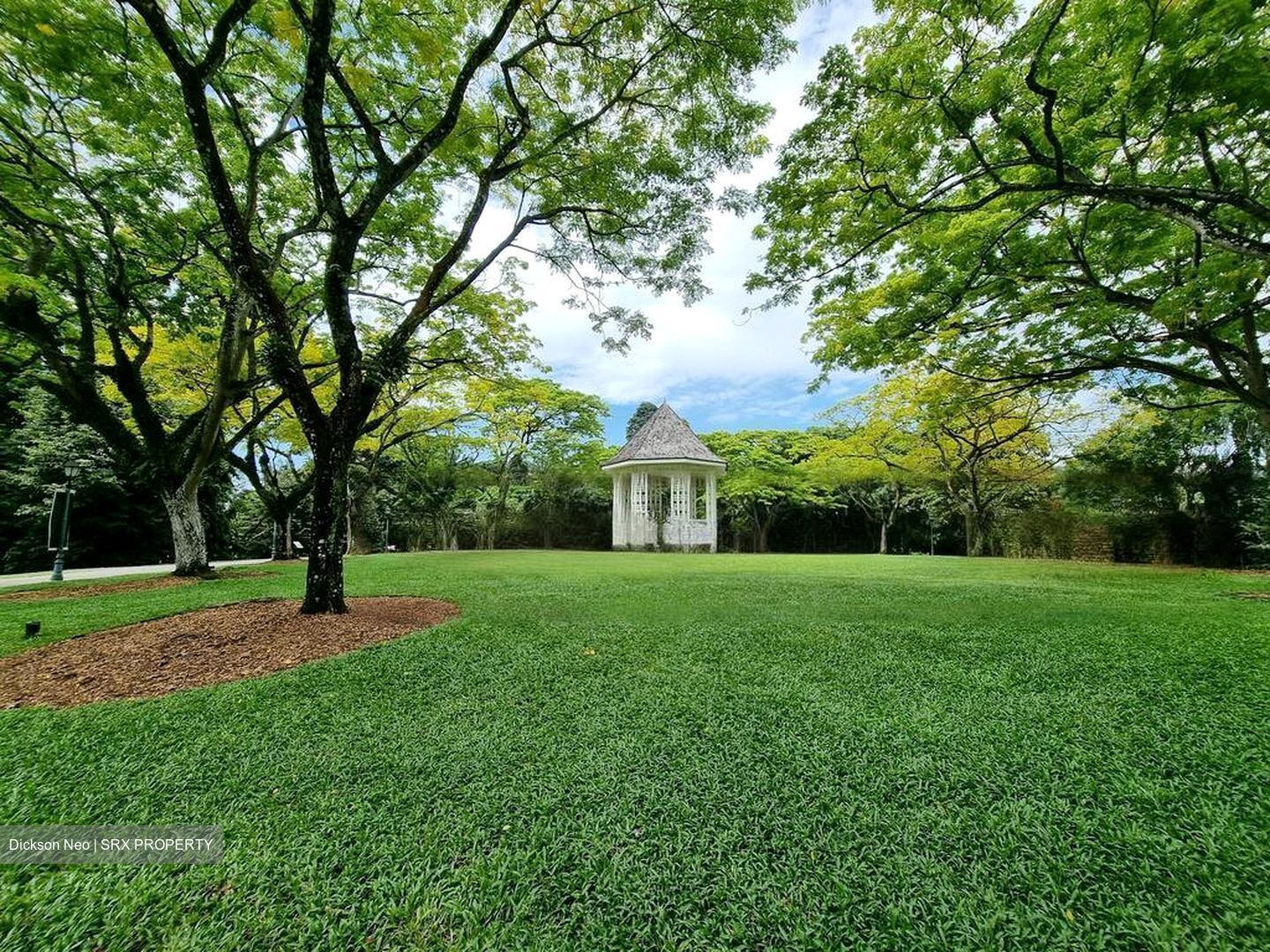 College Green (D11), Detached #461228601